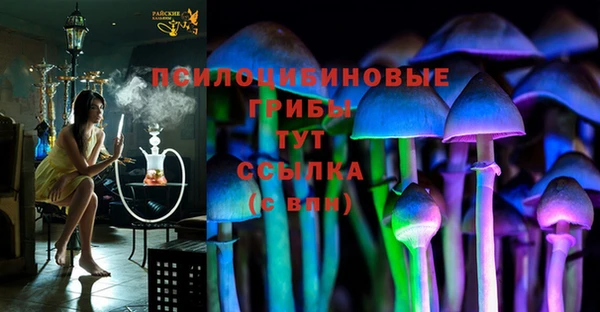 экстази Михайлов